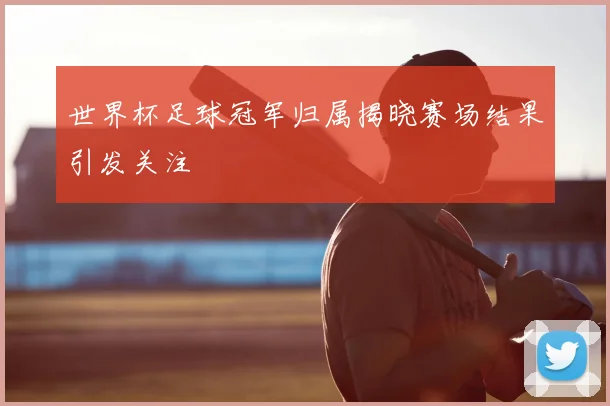 世界杯足球冠军归属揭晓赛场结果引发关注