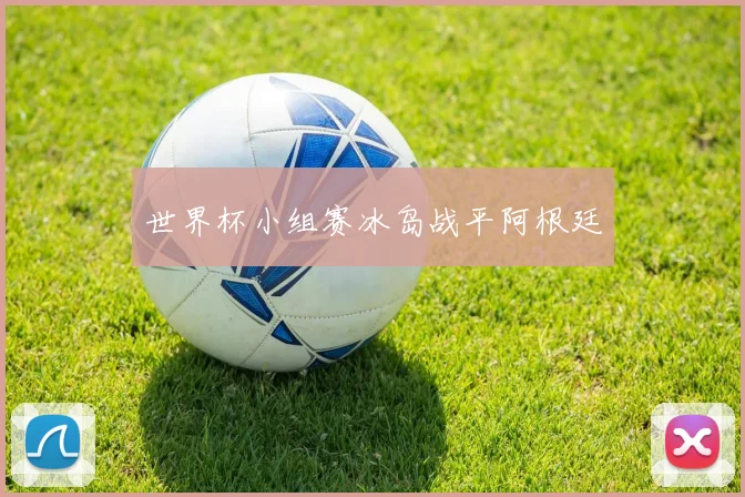 世界杯小组赛冰岛战平阿根廷