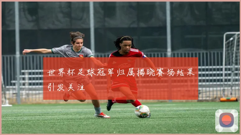 世界杯足球冠军归属揭晓赛场结果引发关注