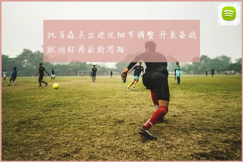 托马森点出进攻细节调整 丹麦备战欧洲杯再获新思路