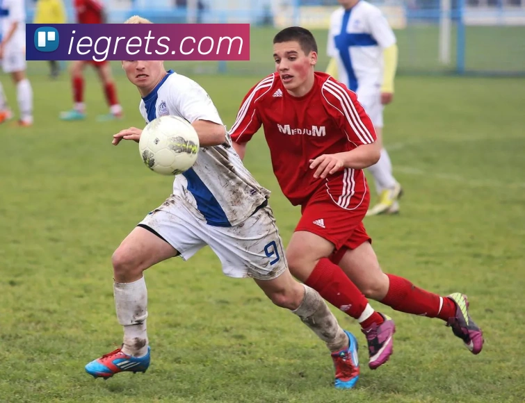 世界杯官方网络平台发展历程